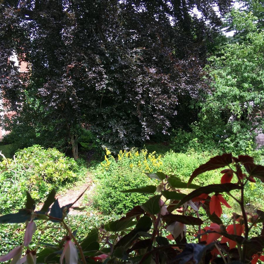 Holiday Home "Les Ancolies " Gite Citadin Spa Bagian luar foto